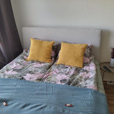 Central Studio - Easy Check-In, Free Parking & Wifi 로바니에미 외부 사진